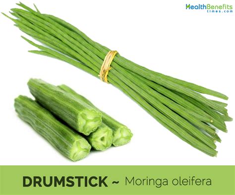 Top Health Benefits Of Drumsticks Hb Times