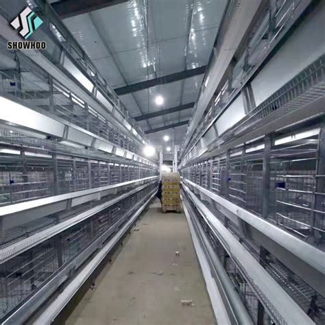 Steel Frame Structure Broiler Poultry Shed Design Chicken Farm Building