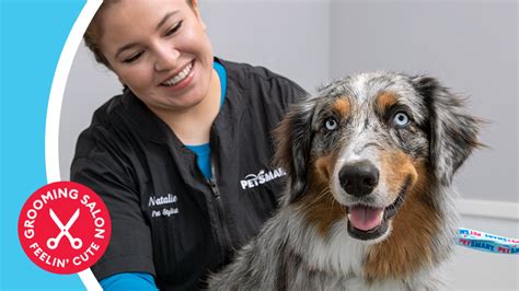 petsmart net worth 2020