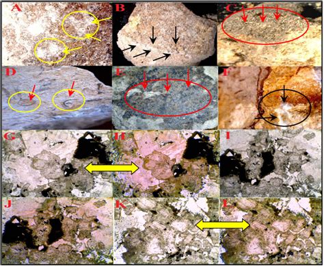 A F Represent The Limestone Samples That Invistegated By Optical