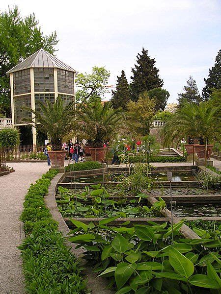 Cosa Vedere A Padova I Luoghi Da Non Perdere Padova Luoghi Botanica