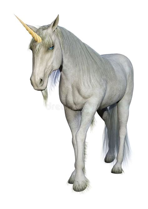 3d Rendering Fairy Tale White Unicorn On White Stock Illustration