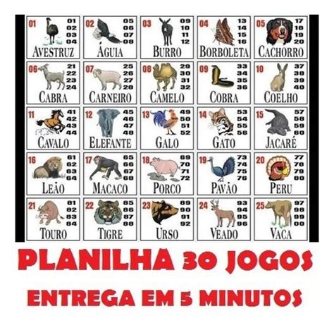 calendário do jogo do bicho verloop io