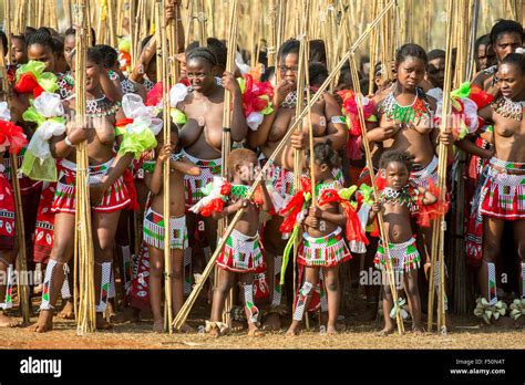 Ludzidzini Swaziland Afrique Du Sud Umhlanga Annuel Ou C R Monie