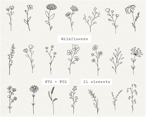 Wildflower Svg Bundle Botanical Elements Floral Line Art Etsy