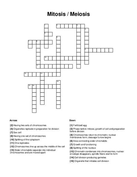 Mitosis Meiosis Crossword Puzzle