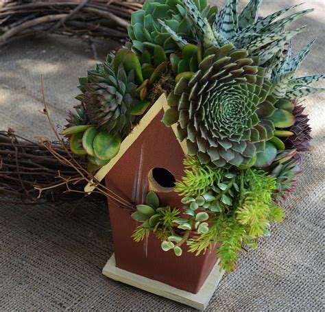 Succulent Rooftop Birdhouses Shipped Within Continental US Floral