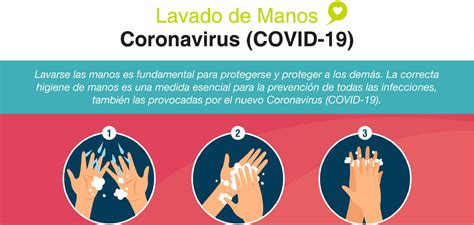 Preguntas Y Respuestas Sobre El Nuevo Coronavirus Covid