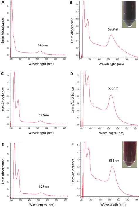 Uv Vis Spectra Of Naked And Conjugated Gnps With Without E Coli Ab A