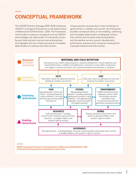 Unicef Nutrition Conceptual Framework Pdf Malnutrition Diet