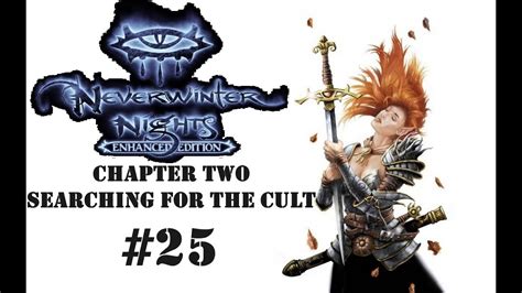 Neverwinter Nights EEOC Wizard Ch225 Neverwinter Woods Spider