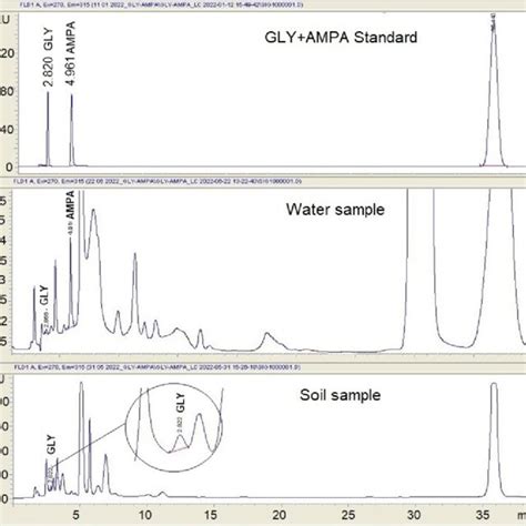 Rp Hplc Fld Chromatograms Of Gly And Ampa In Standard Mixture Water