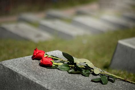 Pensão por morte o que é quem tem direito e como funciona Andrea Cruz