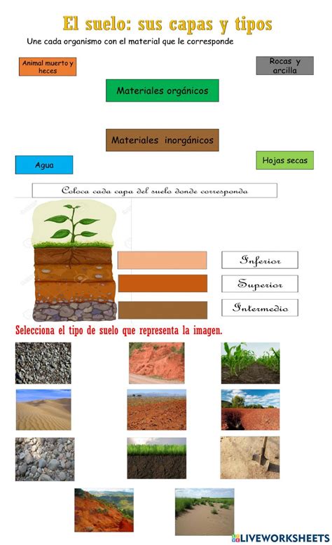 El Suelo Sus Capas Y Tipos Worksheet Biology Plants Videos Tutorial