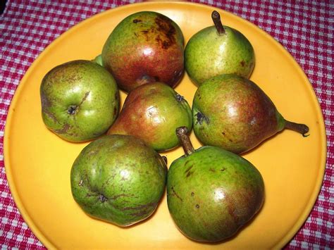 Marathi Khadyasanskruti मराठी खाद्यसंस्कृती