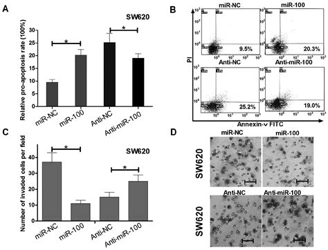 Microrna 100 Regulates Sw620 Colorectal Cancer Cell Proliferation And