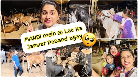 MANDI MEIN 20 20 LAC KAY KHUBSURAT JANWAR PASAND AGYE Mandi Mein Khud