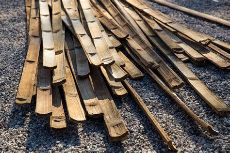 Bamboo Framed Majlis Installed At Venice Architecture Biennale