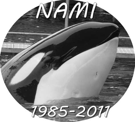 2011 Orca Tank Wiki Fandom