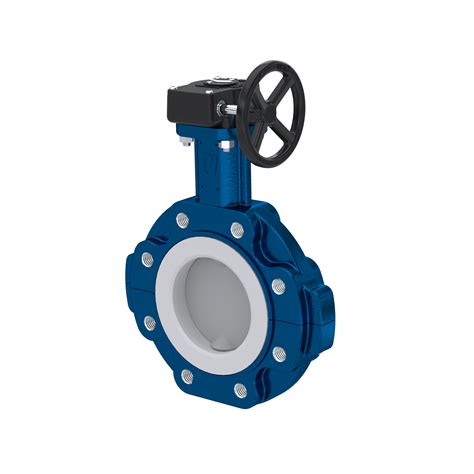 Butterfly Valve PTFE AK10 DN80 PN10 PN16 Handwheel Gearbox EPDM Insert