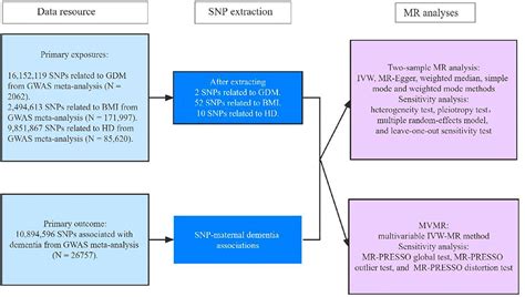 Frontiers Evaluating The Causal Effects Of Gestational Diabetes