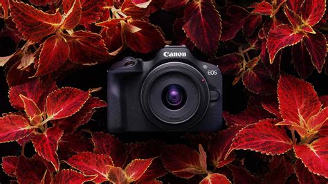 Canon Eos R Kamera Mirrorless Terjangkau Untuk Pemula News