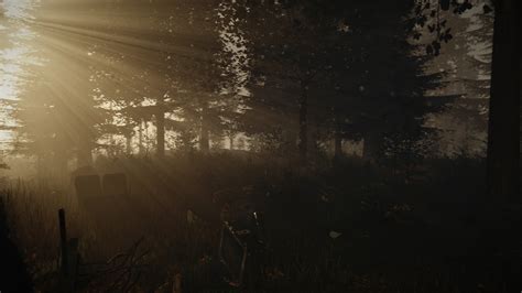 News: Rift survival horror The Forest gets new screenshots | MegaGames