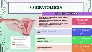 Enfermedad Pelvica Inflamatoria PPT