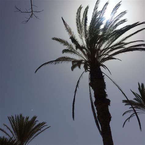 Inneren Frieden finden - wie du lieben lernst, was ist - gluecksplanet