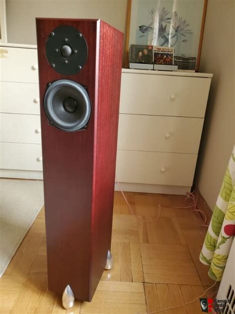 Totem Staff Speakers Photo Canuck Audio Mart