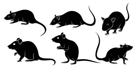 Hand Drawn Silhouette Of Rat Vector Art At Vecteezy