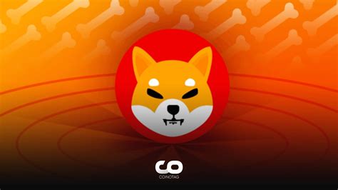 Five Crucial Factors Shaping Shiba Inu S Future Can Shiba Coin Hit 0