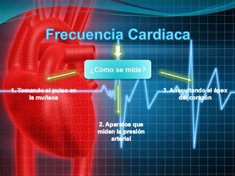 Frecuencia Cardiaca Resumen Con Diapositivas ~ Sommerlyspdf Los Mejores Libros De Medicina