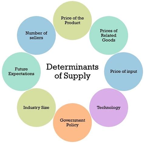 Difference Between Supply And Quantity Supplied With Law Of Supply And