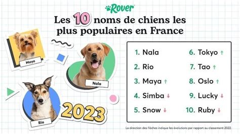 Nala Rio Simba Quels Sont Les Noms Les Plus Populaires De 2023