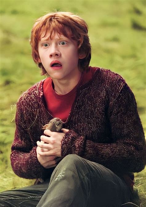 Pin By Brenda De La Tore On Ron Weasley In 2024 Ron Weasley Fan Art