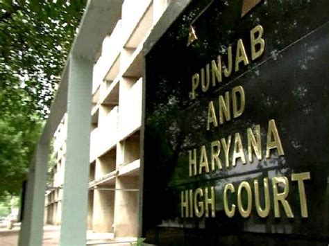 Punjab And Haryana High Court Latest Order In Sbi Fraud Case News