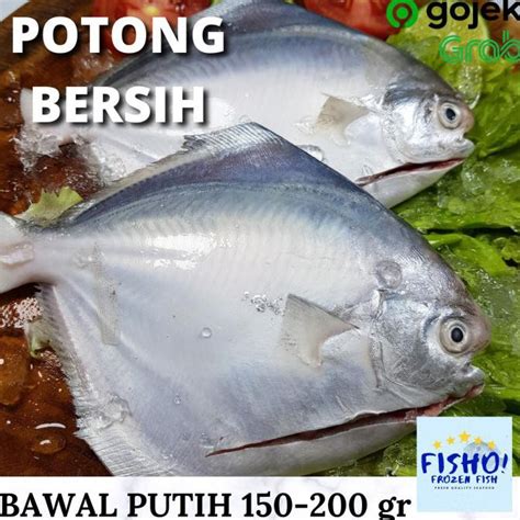 Jual Wajib Baca Deskripsi Ready Ikan Bawal Putih Laut Beku Fresh