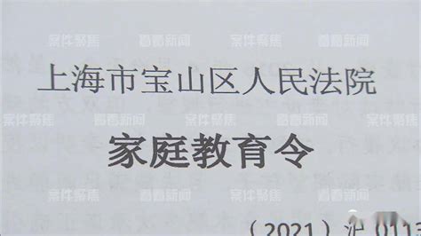 释法丨离婚后不让探视孩子？法院发出家庭教育令“宝山指导王女士