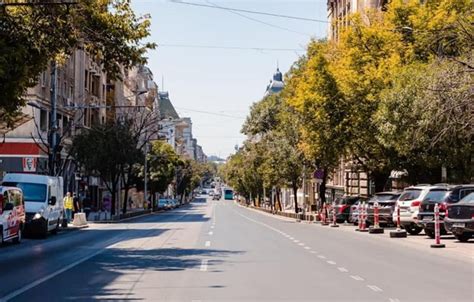 De Arbori Tineri Plantati In Cadrul Proiectului Coroan Verde Pentru