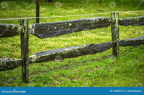 Hardwood Old Fence With Moss Stock Photo Image Of Hardwood Fences