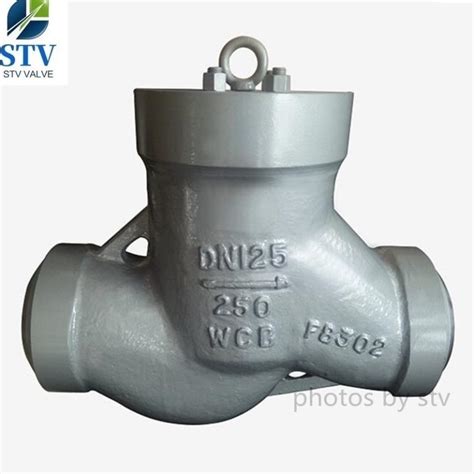 DIN Lift Check Valve DN125 WCB PN250 Weld End China Valve