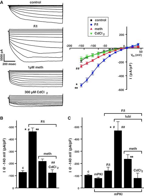 Effect Of Forskolin Ibmx Followed By Methadone And Then Cdcl On Cl