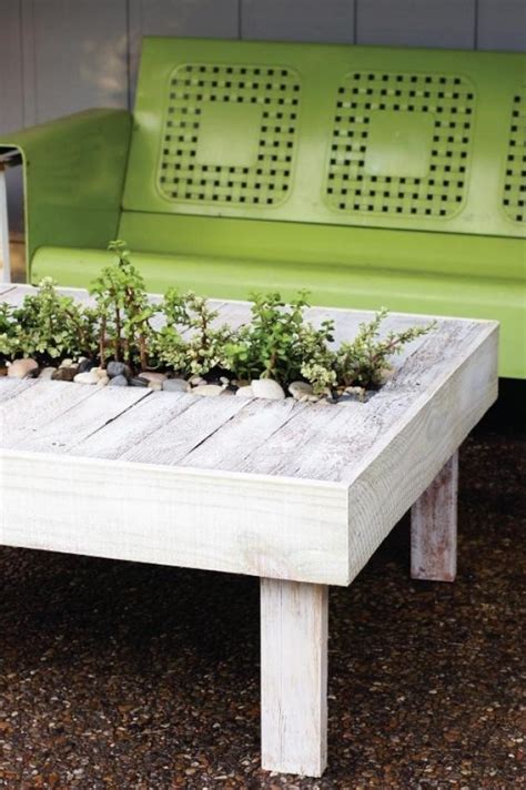 Magnifiques Mini Jardins Pour Tables Basses Haustiersos