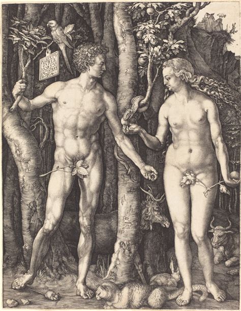 Albrecht Dürer Adam and Eve 1504