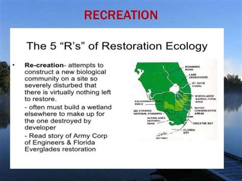 Ecosystem Restoration restore ecosystem