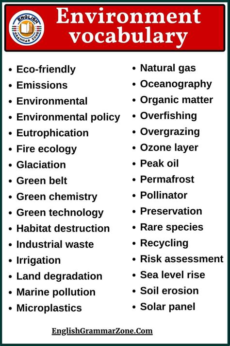 Environment Vocabulary Exercise