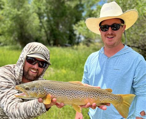 Small Water Big Fish Montana Fly Fishing Guides