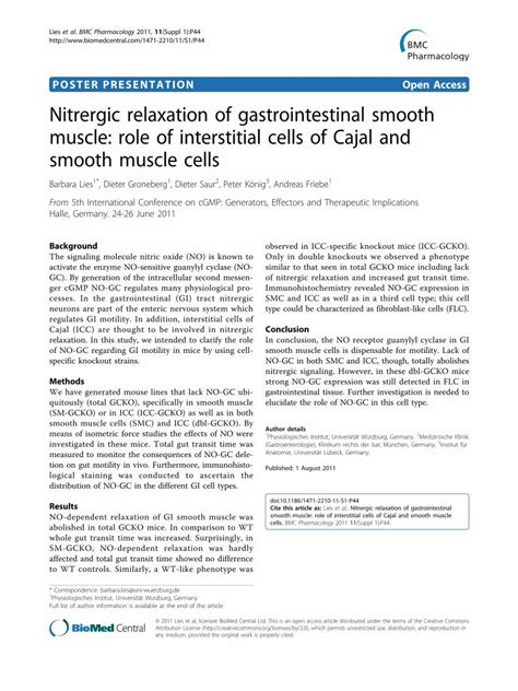 PDF Nitrergic Relaxation Of Gastrointestinal Smooth Muscle Role Of