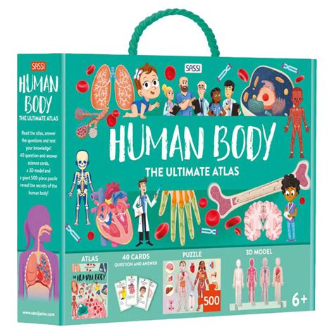 Sassi The Ultimate Atlas Human Body Activity Box